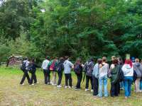 Schüler im Königswald