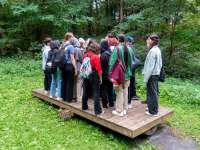 Schüler im Königswald - Gleichgewicht