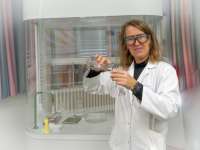 Schnupperstunde Chemie