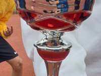 Pokal
